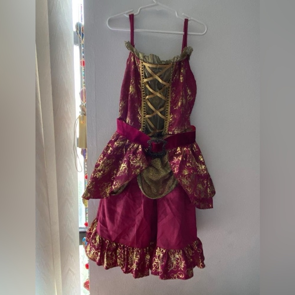 Kids Burgundy and Gold Costume